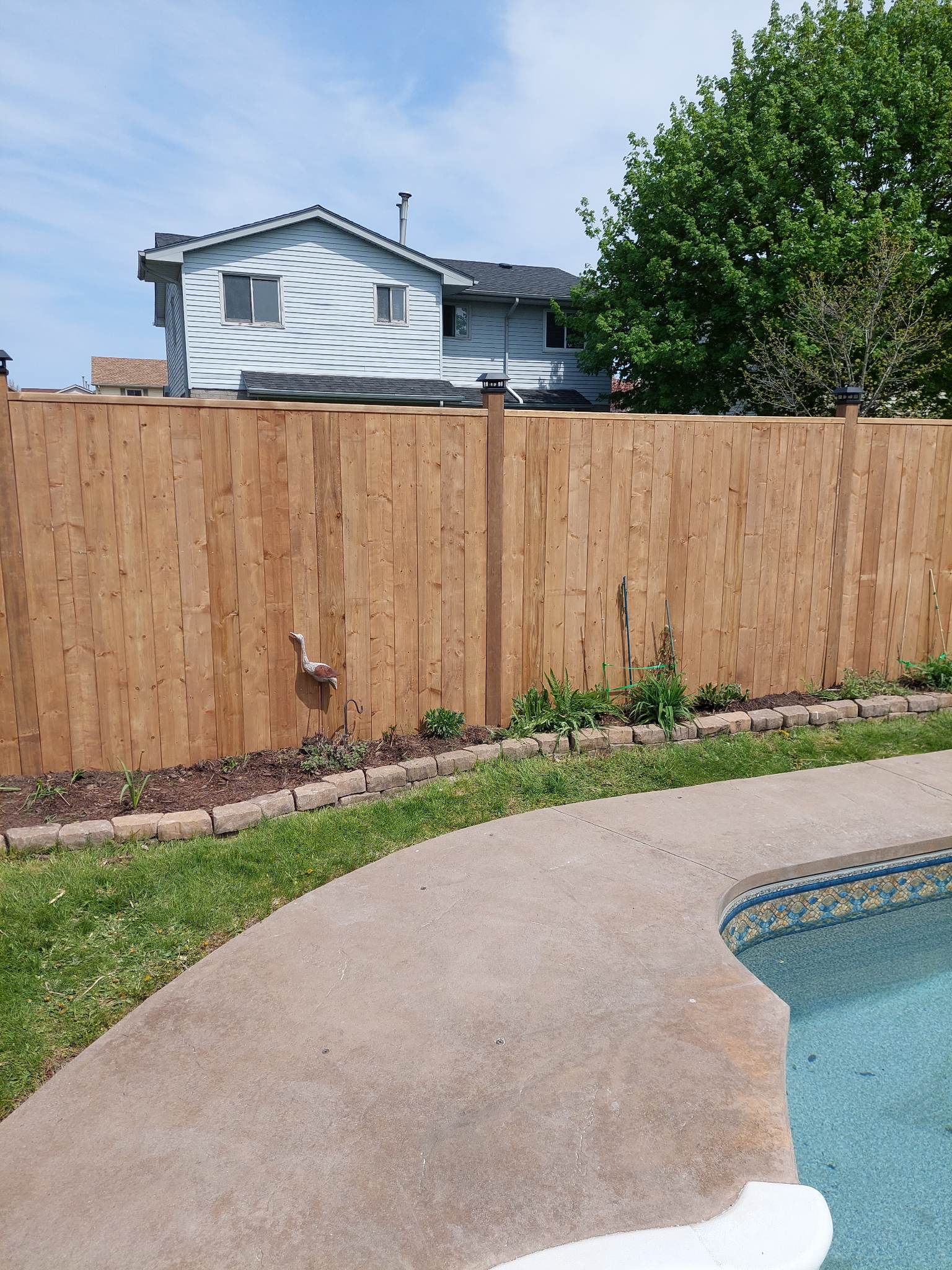 Backyard Fence