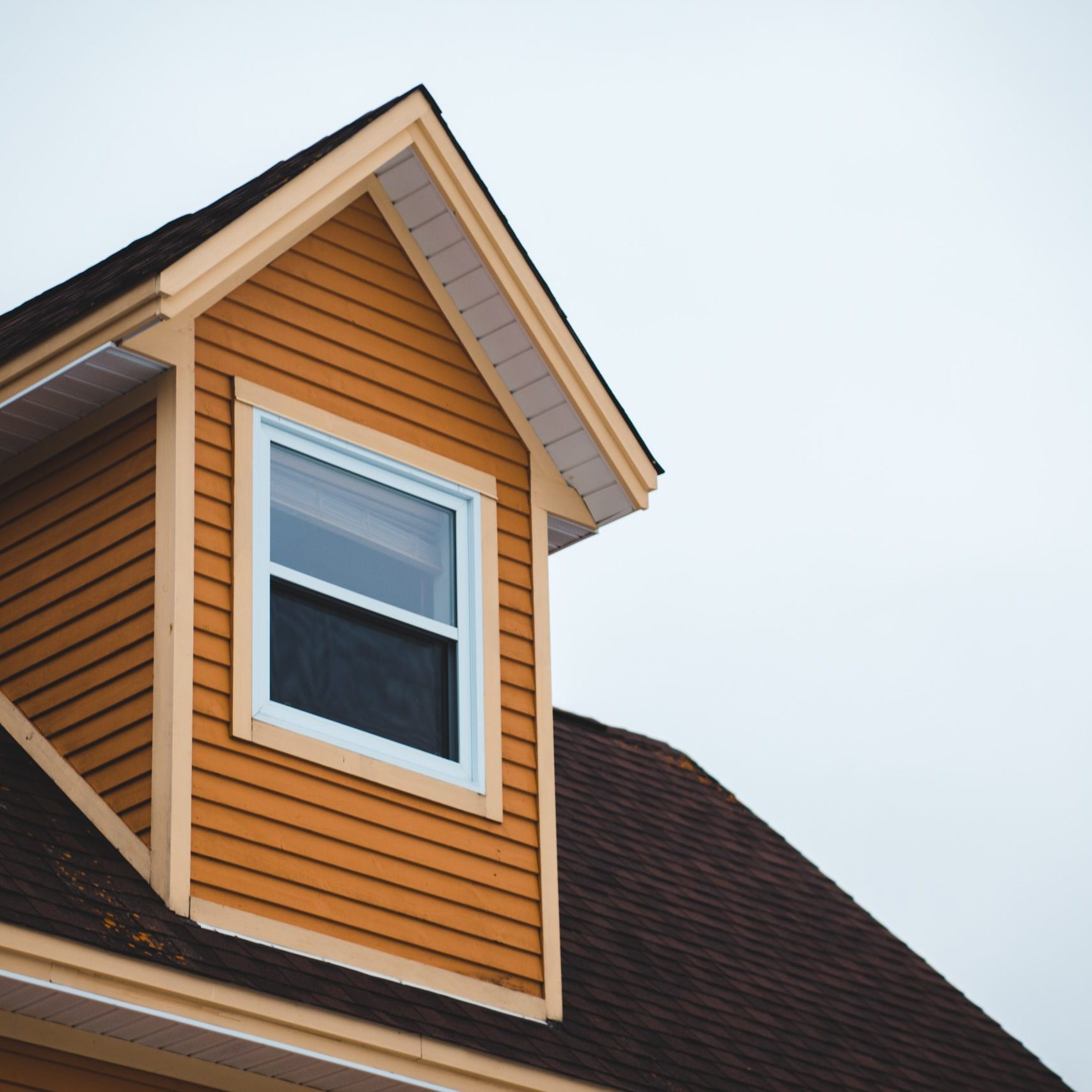 home window and siding install